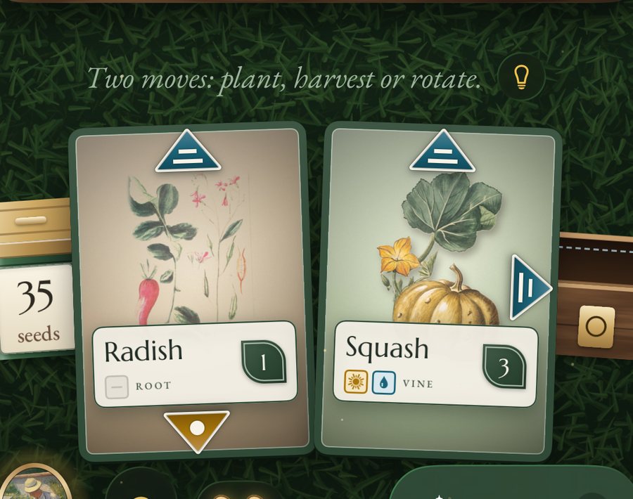 Two seeds in hand: a Radish and a Squash